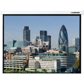 Проекционный экран Lumien Master Control 280x280 (LMC-100126)